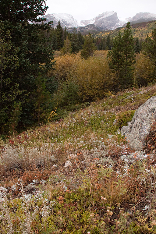 09_Rocky Mountain National Park_10.jpg